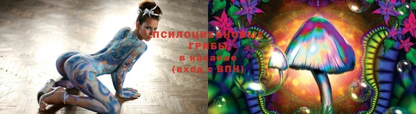 амф Арсеньев