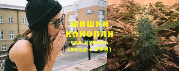 амф Арсеньев