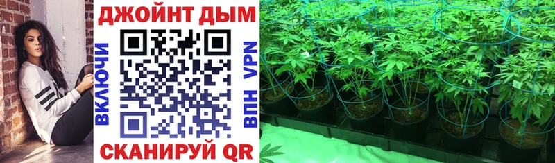 Конопля марихуана  купить   площадка Telegram  Кукмор 